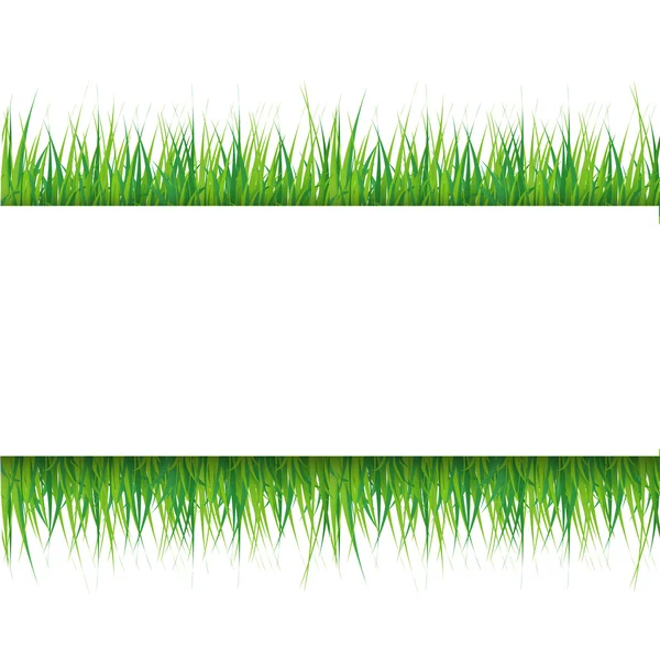 Grassy background with space for inscriptions — Stock Vector