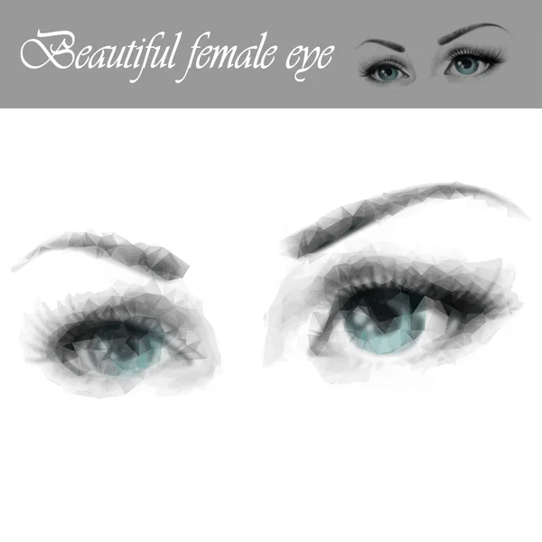 Красивый женский глаз — стоковый вектор