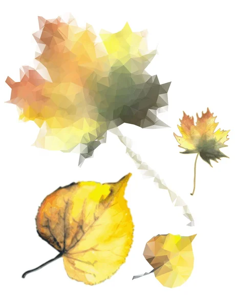 Feuilles jaunes — Image vectorielle