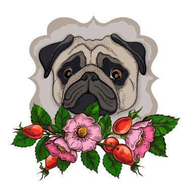 Çiçekli tatlı pug.