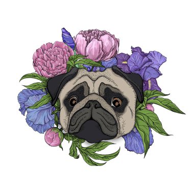 Çiçekli tatlı pug.