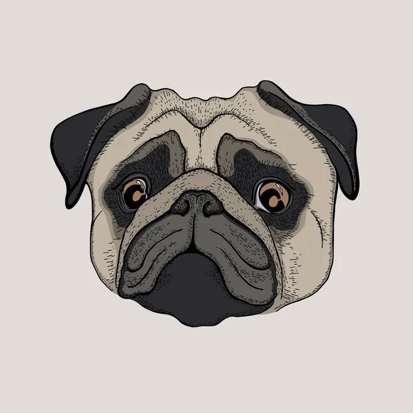 Cute Cartoon Pug Dog — Stock Vector