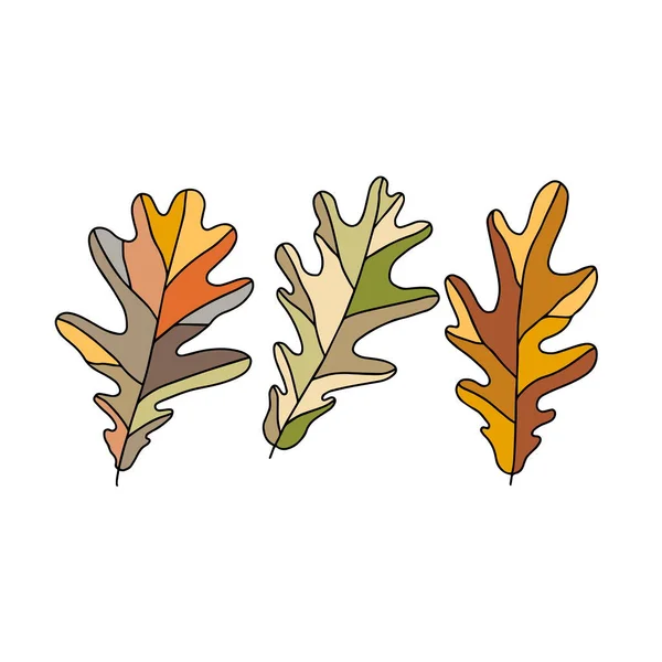 Минимальный Набор Изолированных Осенних Листьев Дубовые Листья Оранжевого Бежевого Коричневого — стоковый вектор