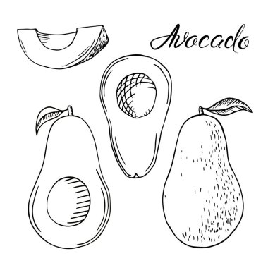 Avokado siyah taslak sanat seti. Egzotik yaz meyveleri koleksiyonu