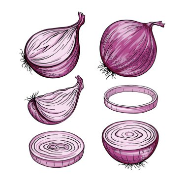 Kırmızı soğanlar hazır. Soyulmuş, yarısı soğan halkaları ve dilimler. Taze çiftlik sebzeleri. Beyaz arka planda izole edilmiş vektör çizimi, çiğ sebzeden oluşan taze desen
