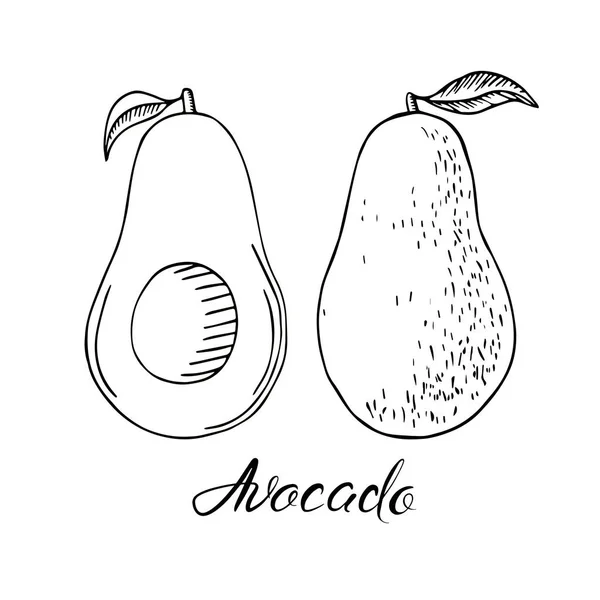 Avocado Zwarte Omtrek Kunst Set Verzameling Exotisch Tropisch Zomerfruit — Stockvector