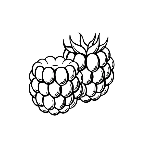 Vector Raspberry Outline Icon Design Белом Фоне — стоковый вектор