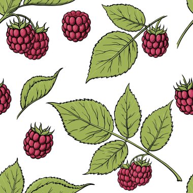 Raspberries seamless pattern. Hand drawn sketch style ripe fruits and berries vector illustration. Ideal for designs, fruit markets and vegan menu.