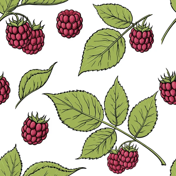 Raspberries Seamless Pattern Hand Drawn Sketch Style Ripe Fruits Berries — 스톡 벡터