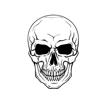 Human evil skull, Jolly Roger logo template. death t-shirt design. Poison icon illustration. Pirate insignia concept