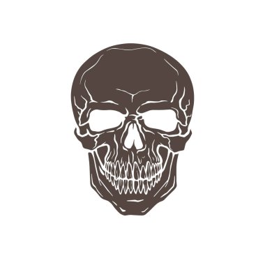 Beyaz arkaplanda vektör insan kafatası