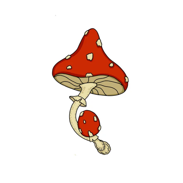 Psychedelic Forest Poisonous Magic Mushroom Fly Agaric Vintage Style Print — Archivo Imágenes Vectoriales