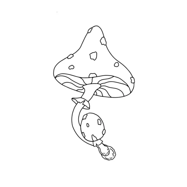 Schöne Fliege Agaric Illustration — Stockvektor