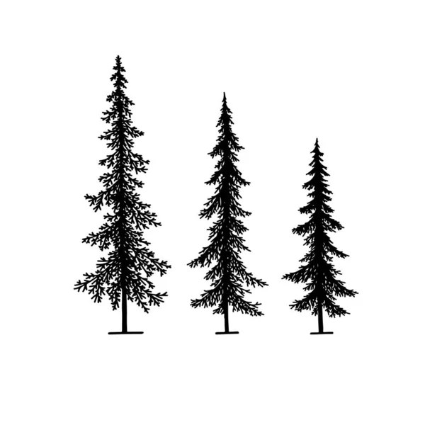 Gran Och Gran Träd Silhuett Svart Och Vitt Vektor Isolerad — Stock vektor