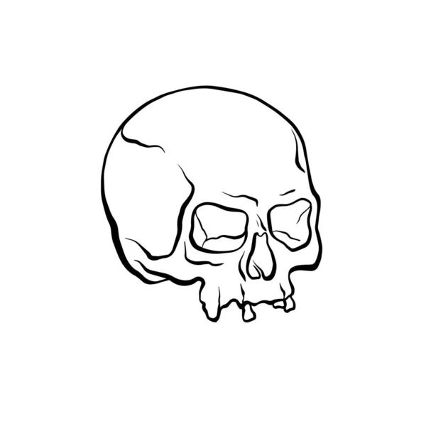 Detailní Ručně Kreslený Obrázek Lebky Grunge Ošlehaný Ilustrace Skull Vector — Stockový vektor