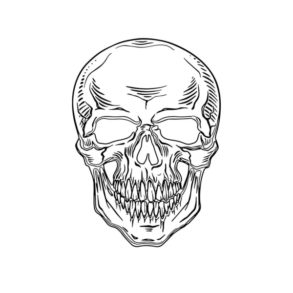 Crâne Humain Vecteur Sur Fond Blanc — Image vectorielle