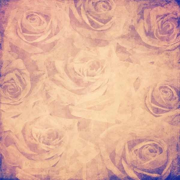 Vintage roses background — Stock Photo, Image