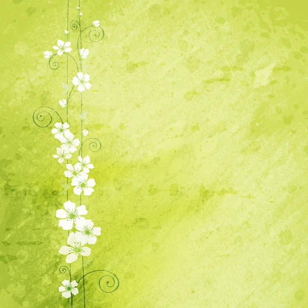 Grunge background with flowers — Stock Photo, Image
