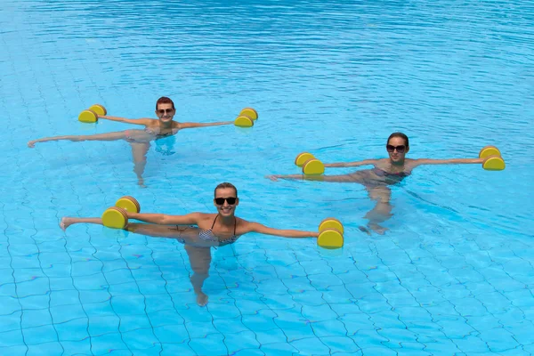 Aqua dumbbell ile egzersiz yaparak mutlu aktif fitness insanlar — Stok fotoğraf