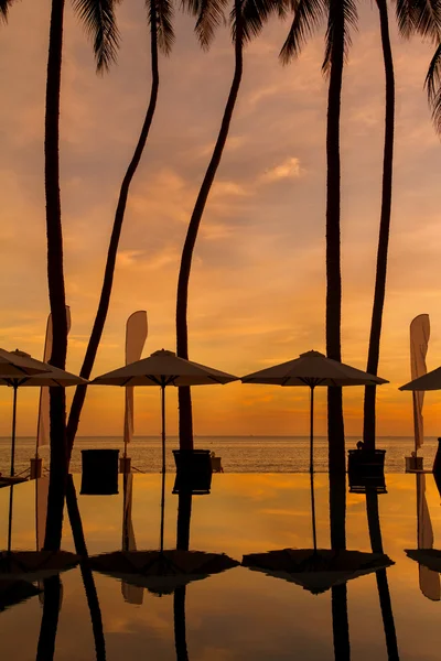 Puesta de sol en un resort de lujo en la playa en los trópicos.Verano: hermoso amanecer nublado con parsoles y palmeras — Foto de Stock