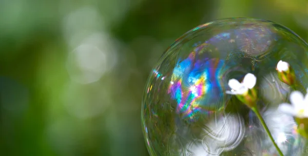 Bolha de sabão multicolorido no fundo de grama verde com foco desfocado seletivo. — Fotografia de Stock