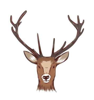Geyik kafası. vektör çizim.