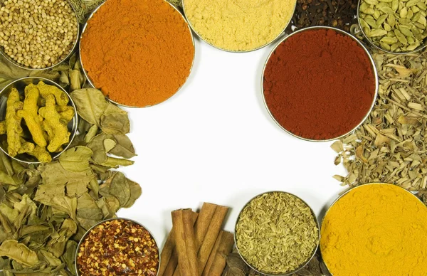 Herbs and spices on a white background — Stock Photo, Image