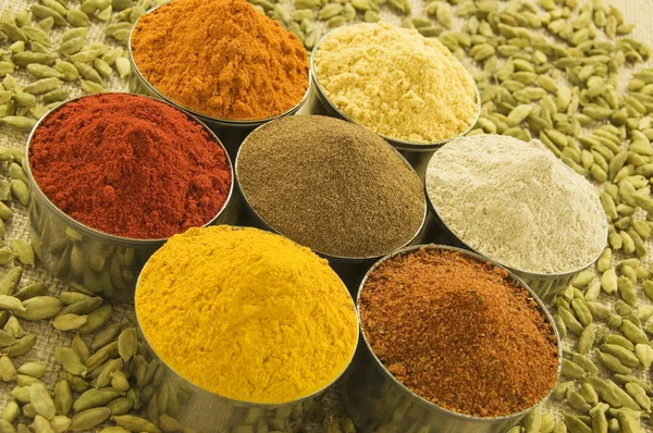 Spice powders and seeds — Stock Photo, Image