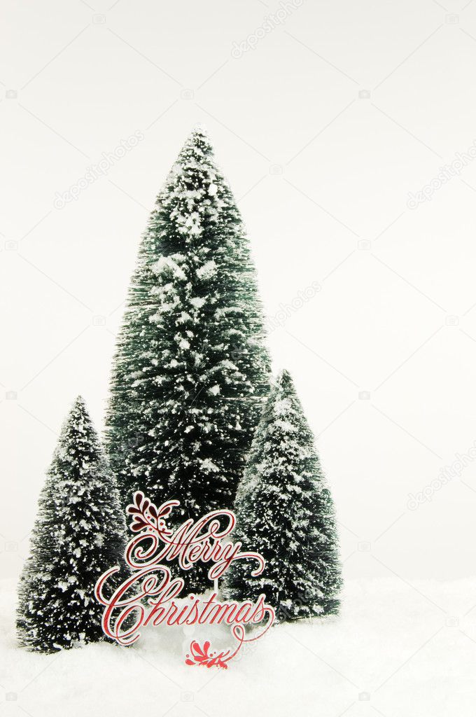 Christmas Trees and Snow Scene