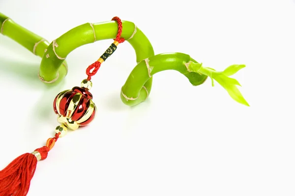 Lucky Bamboo and Chinese New Year Hanging Decoration, Isolated on White Background — Stock Photo, Image