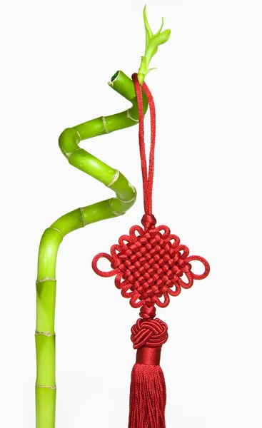 Lucky Bamboo and Chinese New Year Hanging Decoration, Isolated on White Background — Stock Photo, Image