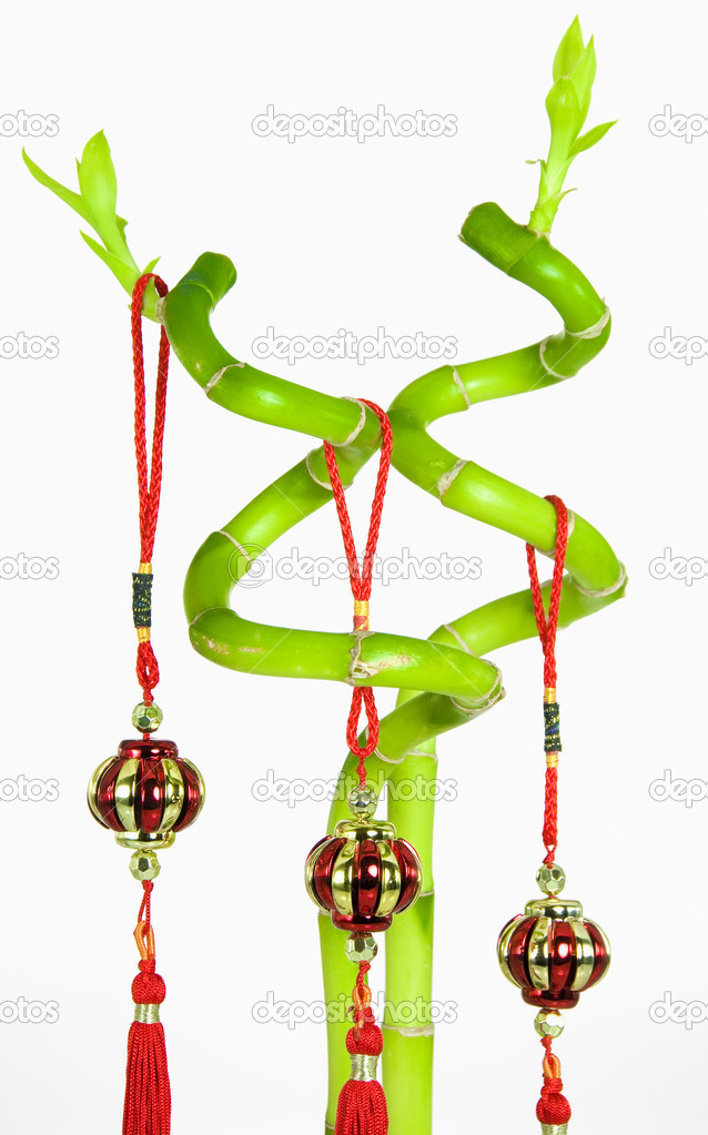 Lucky Bamboo and Chinese New Year Hanging Decoration, Isolated on White Background