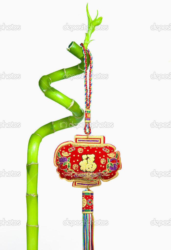 Lucky Bamboo and Chinese New Year Hanging Decoration, Isolated on White Background