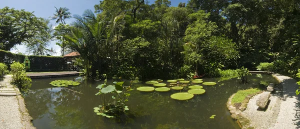 Jardín Tropical, Malasia Imagen de archivo