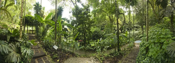 Tropická zahrada, Malajsie — Stock fotografie