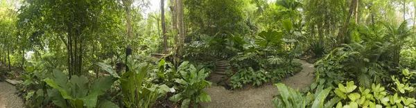 Tropisk trädgård, malaysia — Stockfoto