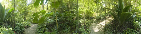 Tropikal Bahçe, Malezya Stok Fotoğraf