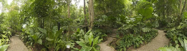 Tropical Garden, Malaysia — Stock Photo, Image