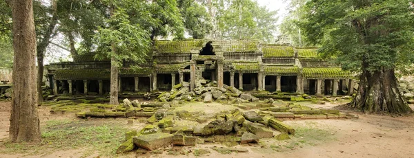 Entrada norte abandonada del templo de Ta Prohm, Angkor Wat, Camboya Fotos de stock libres de derechos