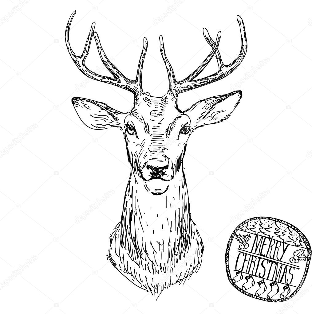 Deer head vector animal illustration for t-shirt. Sketch tattoo design.