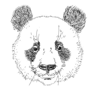 vektör panda başını izole