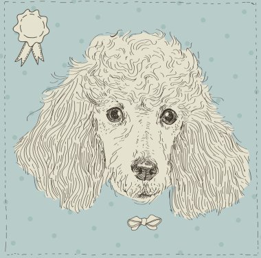 Vintage kaniş köpek vektörde baş