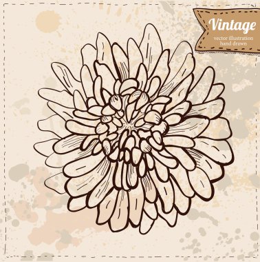 Vector illustration of flower hand drawn on vintage background