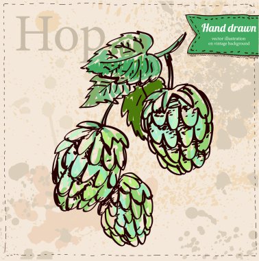 Kağıt antika arka plan üzerinde çizilmiş vektör hop el