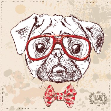 gözlük ve takım elbise ile hipster pug köpek