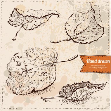 antika arka plan, yaprakları elle çizilmiş vektör yaprak ayarla