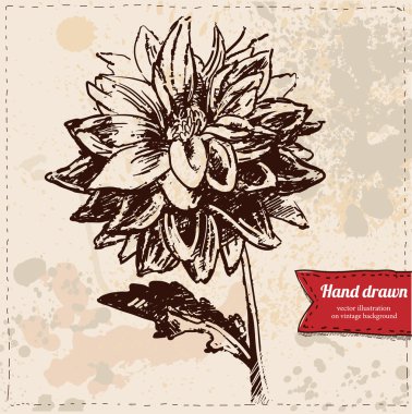 Vector illustration of flower hand drawn on vintage background