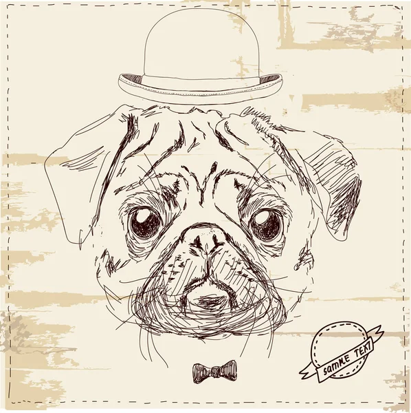 Hipster pug dog com chapéu — Vetor de Stock