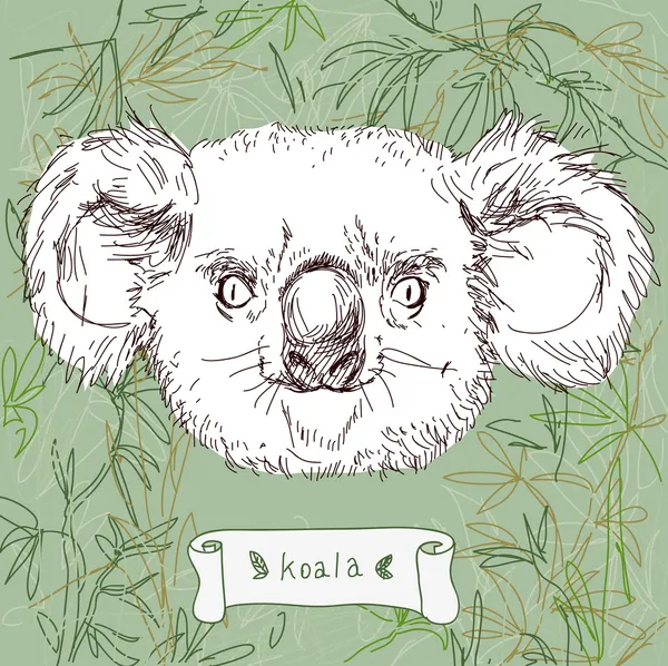 Koala sobre el fondo del bosque — Vector de stock