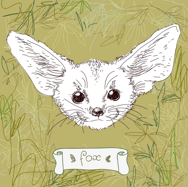 Renard avec de grandes oreilles sur fond de forêt — Image vectorielle